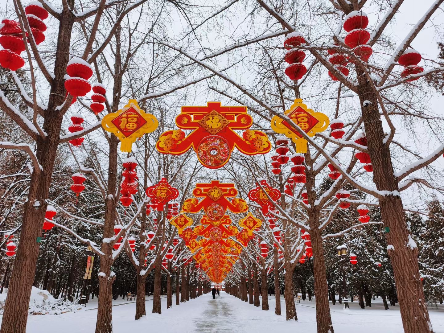 地坛杜浩南.jpg